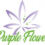 purple-flower